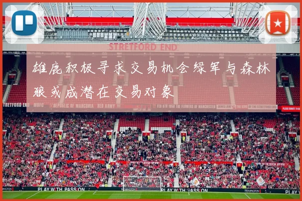 雄鹿积极寻求交易机会绿军与森林狼或成潜在交易对象